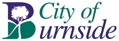 Burnside-logo.jpg