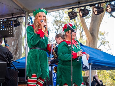 Carols in the Park 2024