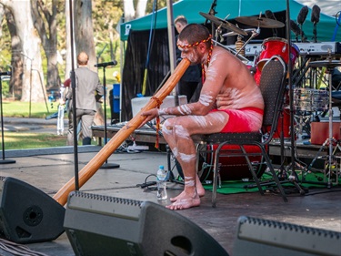 Carols in the Park 2024