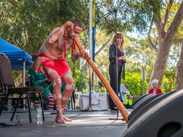 Carols in the Park 2024