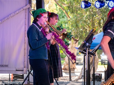 Carols in the Park 2024