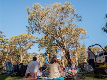 Carols in the Park 2024