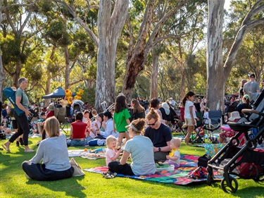 Carols in the Park 2024