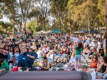 Carols in the Park 2024