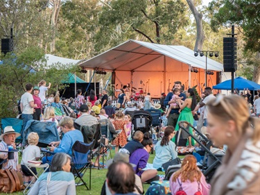 Carols in the Park 2024