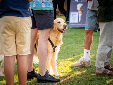 Carols in the Park 2024