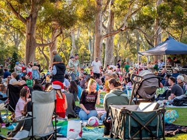 Carols in the Park 2024