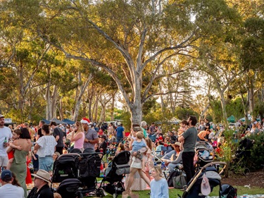 Carols in the Park 2024