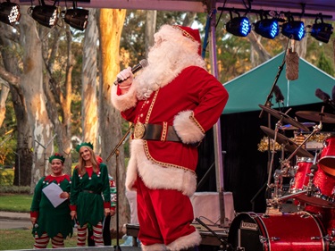 Carols in the Park 2024