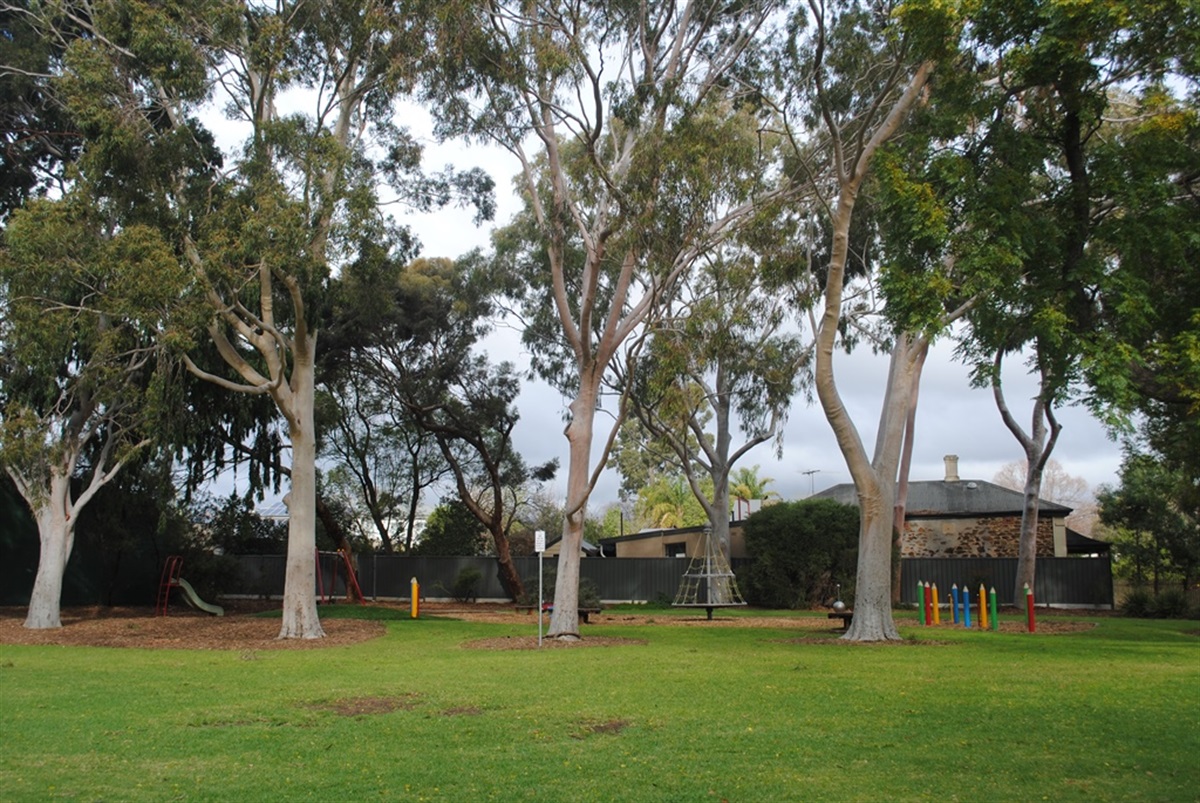 SIR THOMAS MITCHELL RESERVE Public BBQ