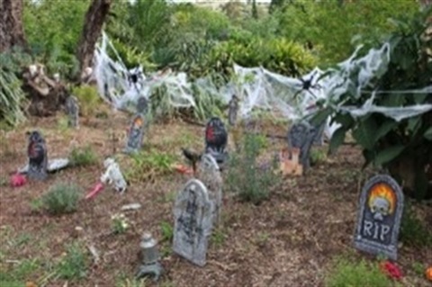 Beaumont House Children’s Halloween Spooky Trail