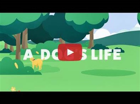 A dog's life video