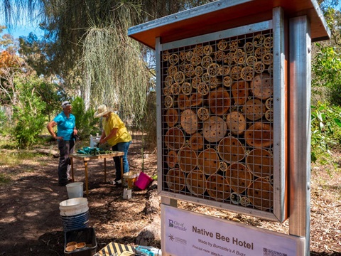 A bee hotel in Kensington Park Reserve