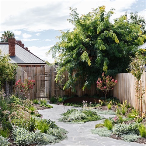 Adelaide Garden Guide for New Homes