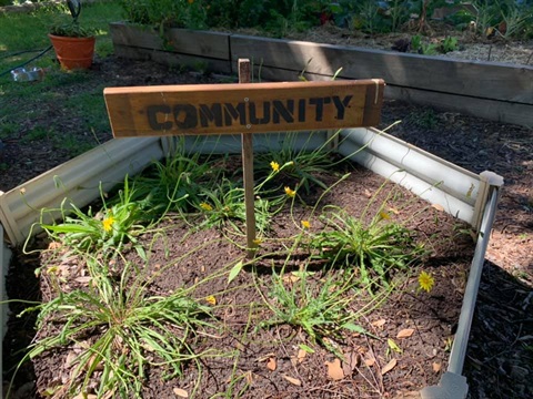 chapel_street_community_garden_community_sign_garden_bed